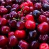 Cerises