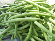 haricots-verts.jpg