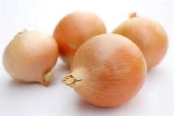 photo iognons.jpg